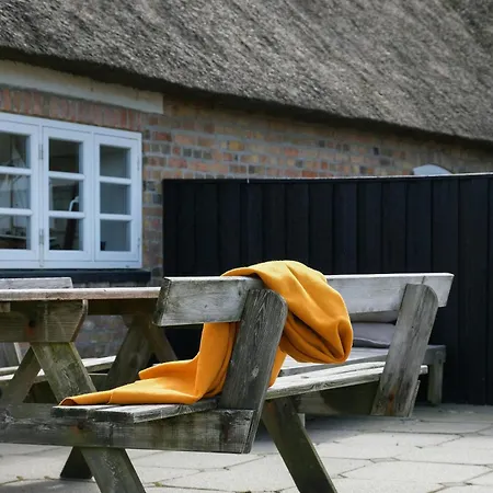 Thatched Farm By The North Sea's Wide Shores *